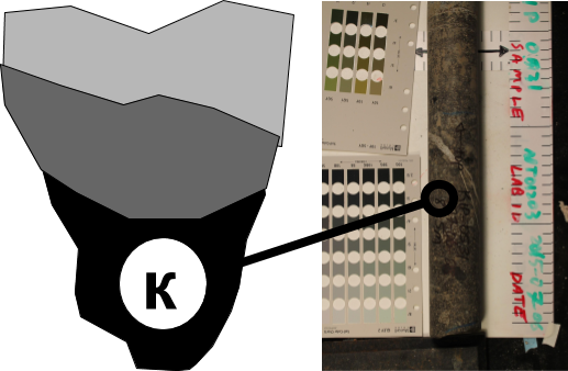 ../../../_images/Core_HK_Susc.png